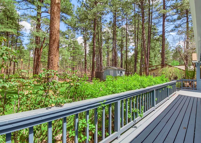 Holiday home Deck + Pool Table: Nature Escape *